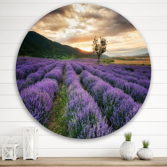 Designart - Sunrise & Dramatic Clouds Over Lavender Field VII